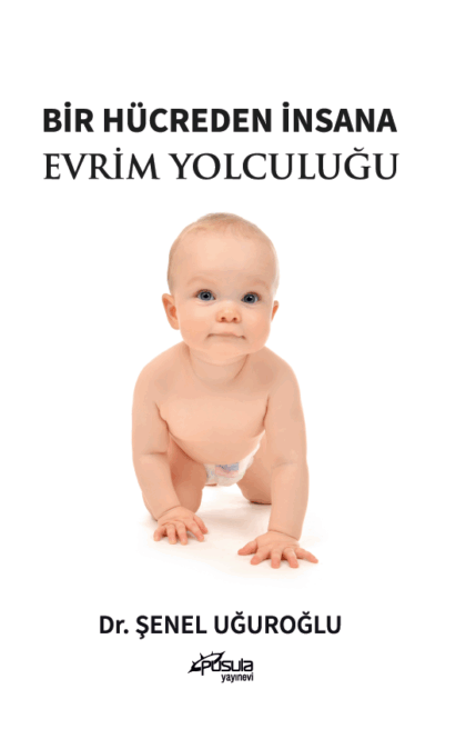 Bir Hücreden İnsana Evrim Yolculuğu